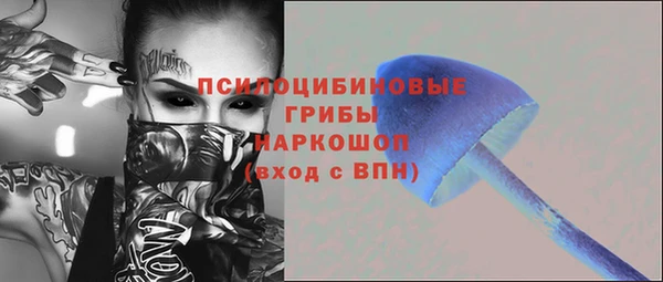 молекула духа Горняк