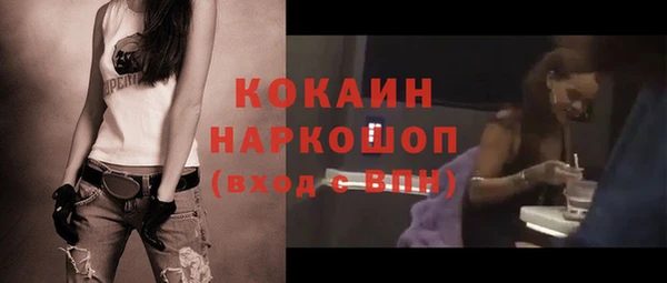 молекула духа Горняк