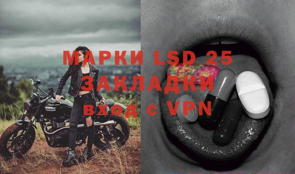 spice Горнозаводск