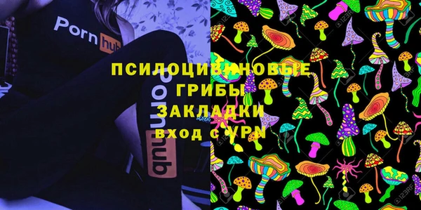 spice Горнозаводск